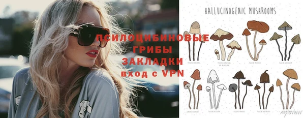 дживик Иннополис