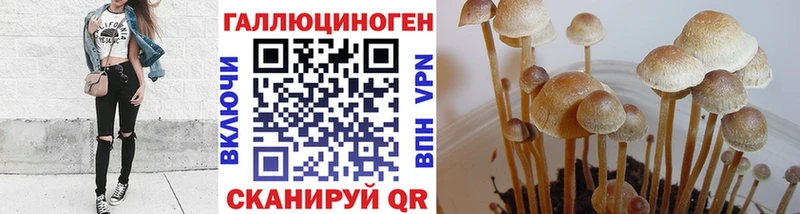 Галлюциногенные грибы Cubensis  Купить  Дивногорск 